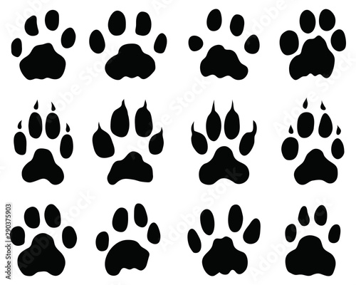 Black print of jaguar paw on a white background