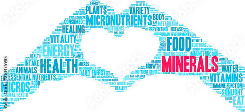 Minerals Word Cloud on a white background. 