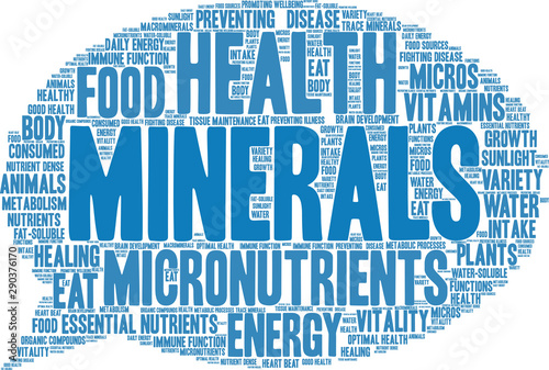 Minerals Word Cloud on a white background. 