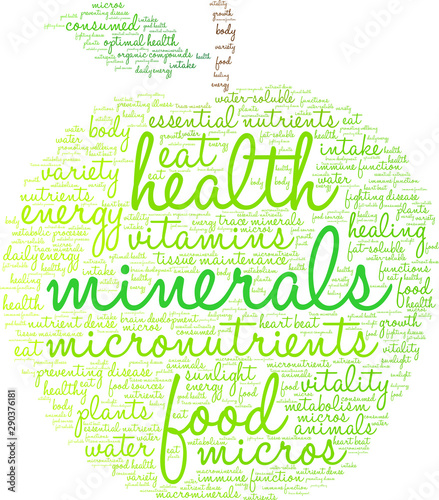 Minerals Word Cloud on a white background. 