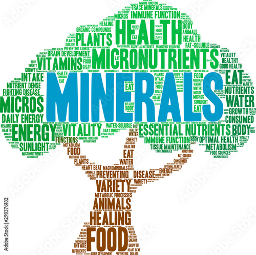 Minerals Word Cloud on a white background. 