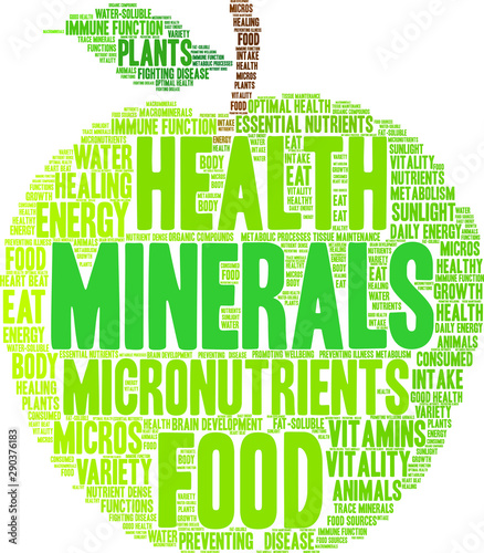 Minerals Word Cloud on a white background. 