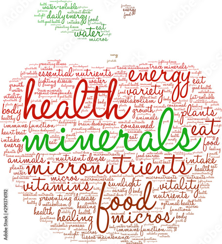Minerals Word Cloud on a white background. 