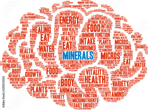 Minerals Word Cloud on a white background. 
