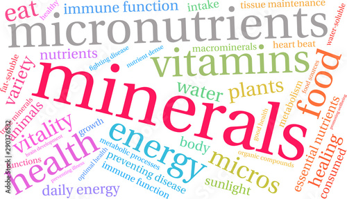Minerals Word Cloud on a white background. 