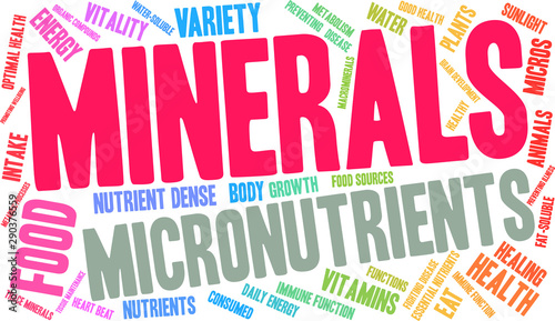 Minerals Word Cloud on a white background. 