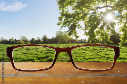 Brille mit Durchblick vor einem gr  nen Feld