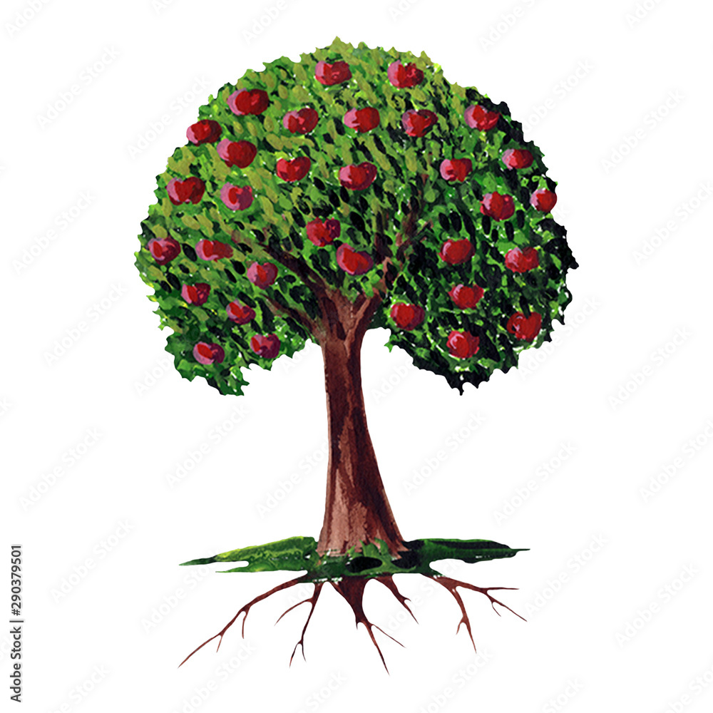 Fototapeta premium Hand drawn watercolor apple tree illustration. Summer, autumn, harvest. Sweet garden fruit on a tree