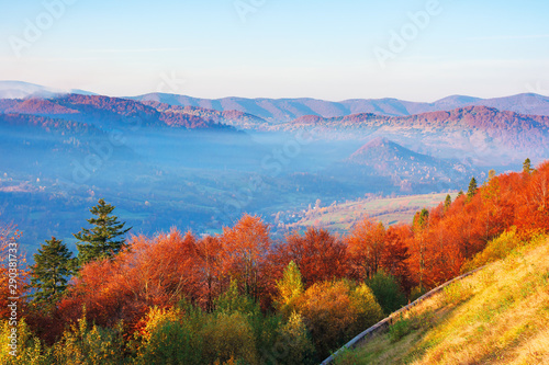 beautiful morning scenery in mountains. light passes through rising fog in the distant valley. wonderful autumn weather. trees on the near slope in colorful foliage. 
