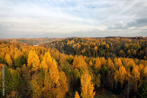 Colorful autumn trees during sunset