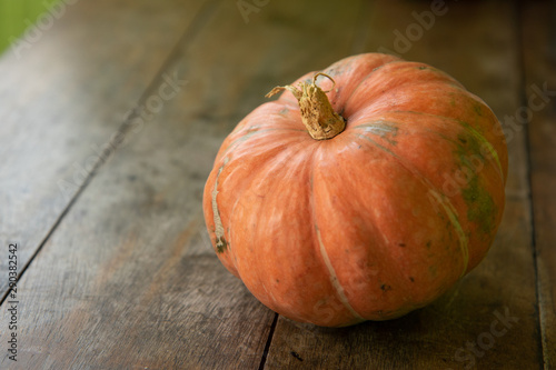 Pumpkin grown organically by farmers on small farms in Pernambuco, Northeastern Brazil. The vegetable is known as 