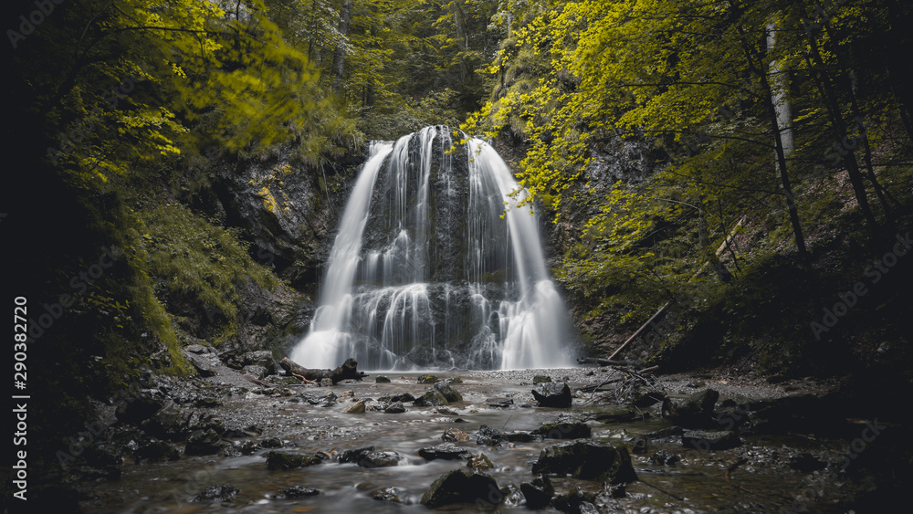 Obraz premium Wasserfall im Wald