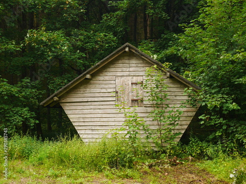 Weathered wooden forest hut in Harz Germany