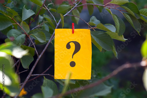 Question mark hanging on a tree