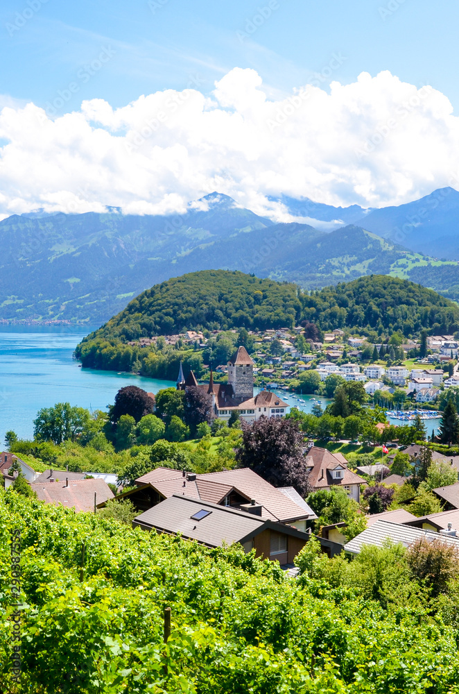 Fototapeta premium Beautiful Alpine village Spiez located by Lake Thun in Switzerland photographed in the summer season. Green vineyard on the adjacent slopes. Swiss landscape. Peaks of the Alps in the background