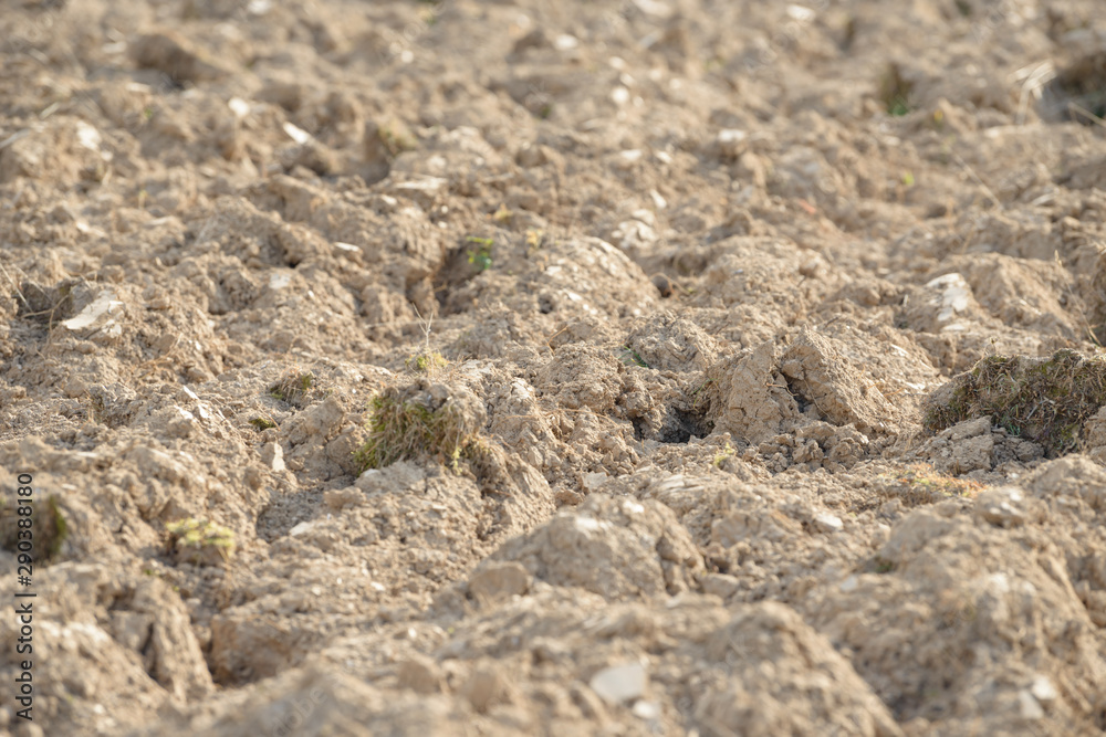 Arable land in the countryside. Farmland landscape. View of agricultural land prepared for sowing. Plowed and harrowed ground. Soil recently ploughed for new season. Arable land in the countryside. Farmland landscape. View of agricultural land prepared for sowing. Plowed and harrowed ground. Soil recently ploughed for new season.
