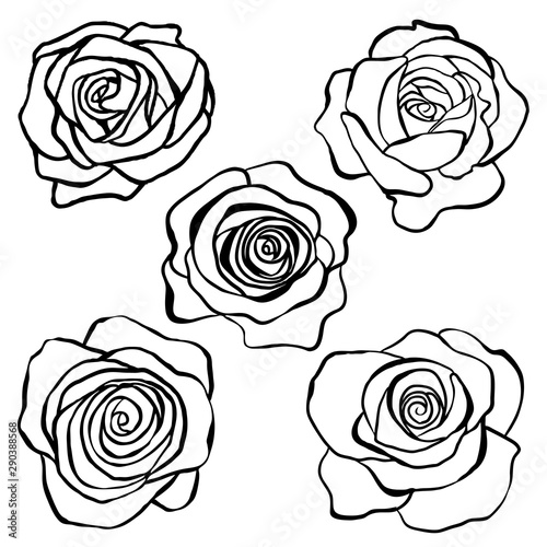 Set of rose flowers in doodle style. Silhouette of flowers, for cards, background, design.