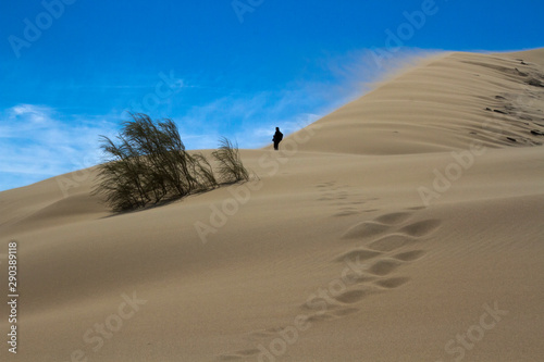 Golden sands of a singing dune in Kazakhstan photo