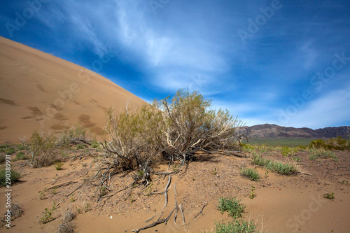 Golden sands of a singing dune in Kazakhstan