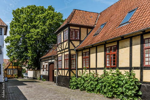 a yellow idyllic half-timbered house with green hollyhocks along the wall photo