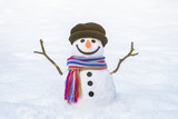 Funny snowman with a bright scarf