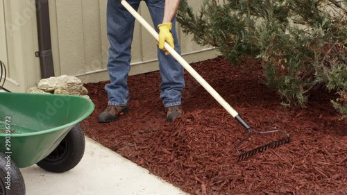 Medium, man shovels mulch in garden