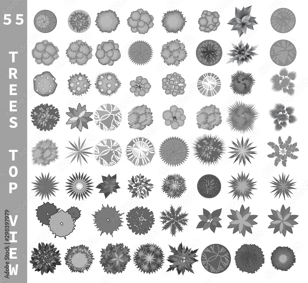 Different trees top view. View from above set for architectural and landscape natural green space design. Vector Different trees top view. View from above set for architectural and landscape natural green space design. Vector