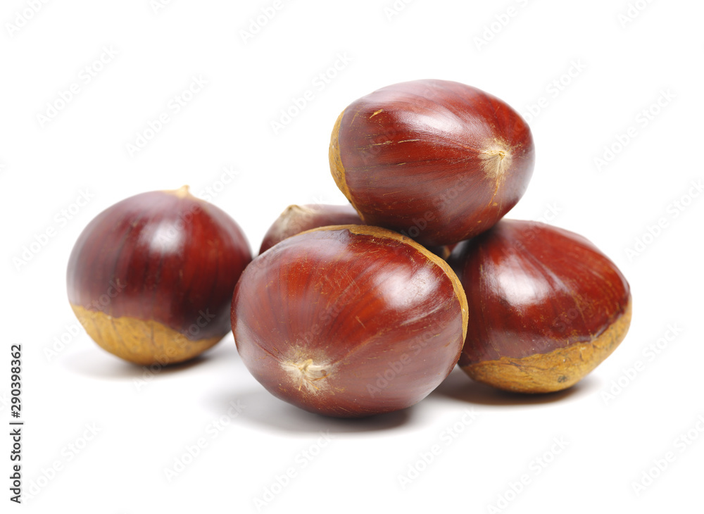 Sweet chestnut on white background Sweet chestnut on white background