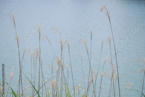 貯水池