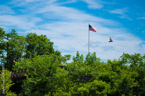 American Flag at Patterson Great Falls