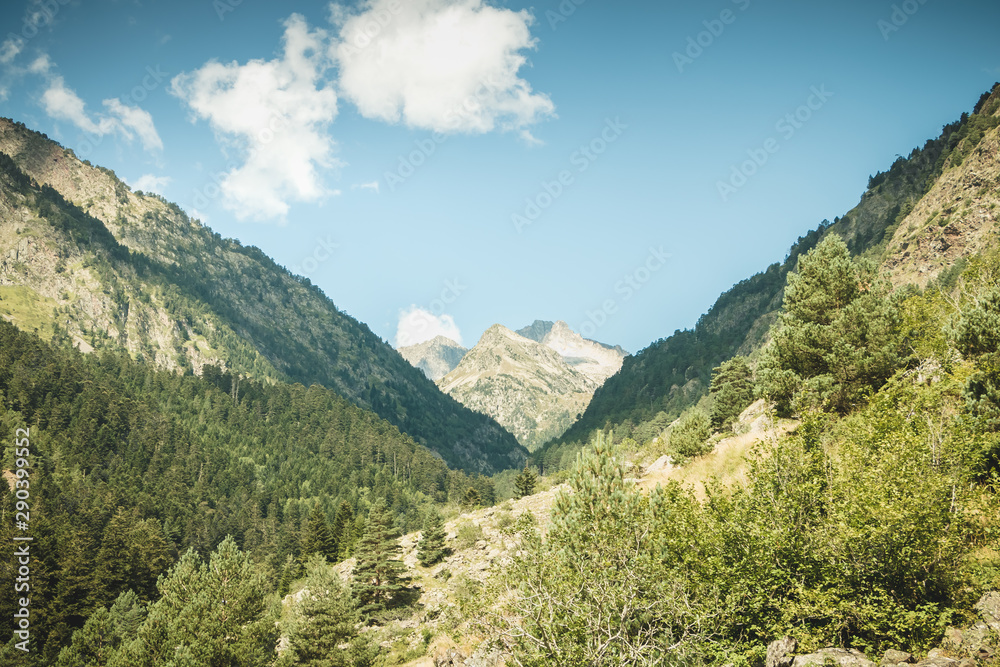 hiking path with trees and vegetation in the Pyrenees mountains