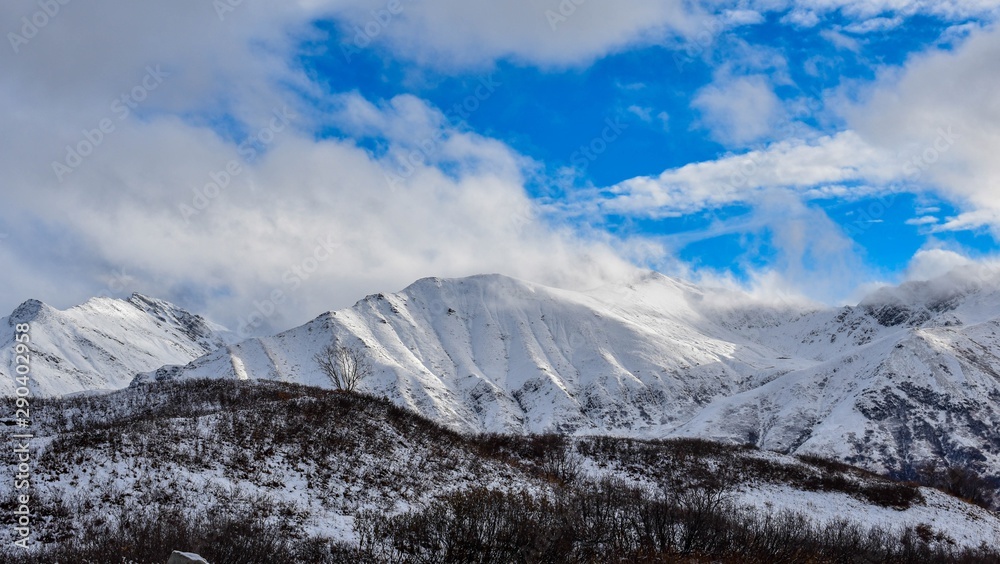 Obraz premium winter