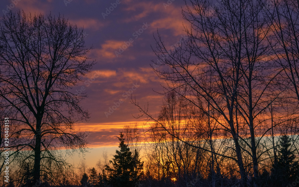 sunset sunset