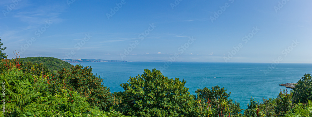 A seascape panorama from a hill with trees and a beautiful flat blue sea water under a majestic blue sky and some white clouds