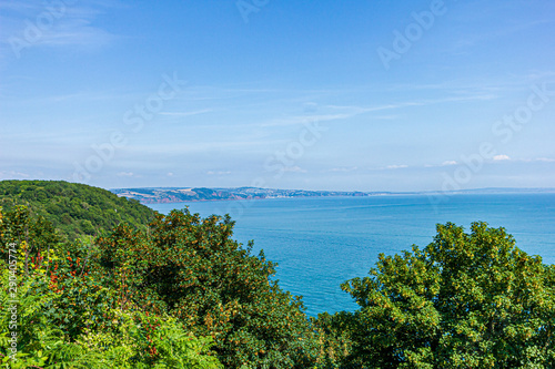 A seascape panorama from a hill with trees and a beautiful flat blue sea water under a majestic blue sky and some white clouds