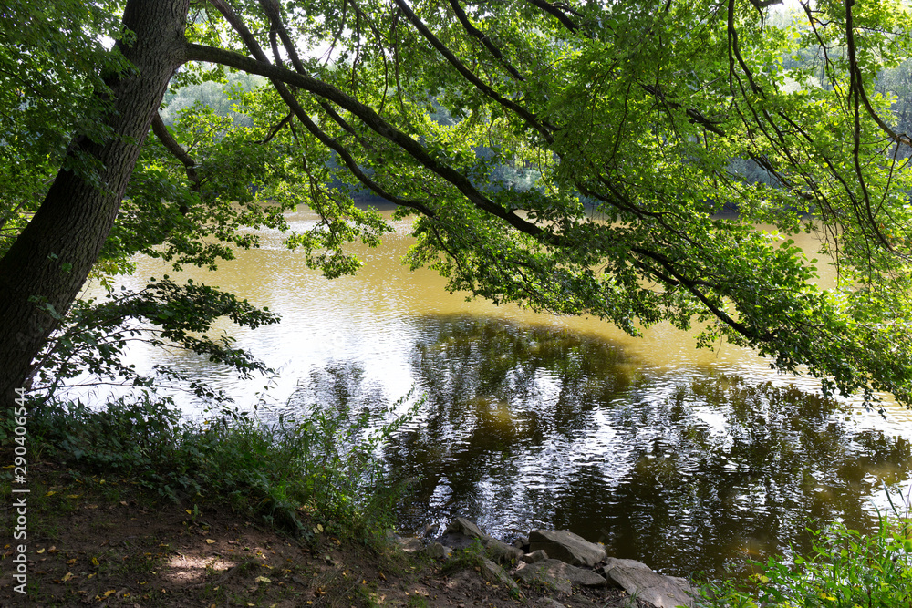 Beautiful solitude path with old big Trees about River Sazava in Central Czech Beautiful solitude path with old big Trees about River Sazava in Central Czech