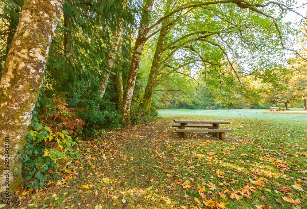 Picnic table in a park in the Autumn Picnic table in a park in the Autumn