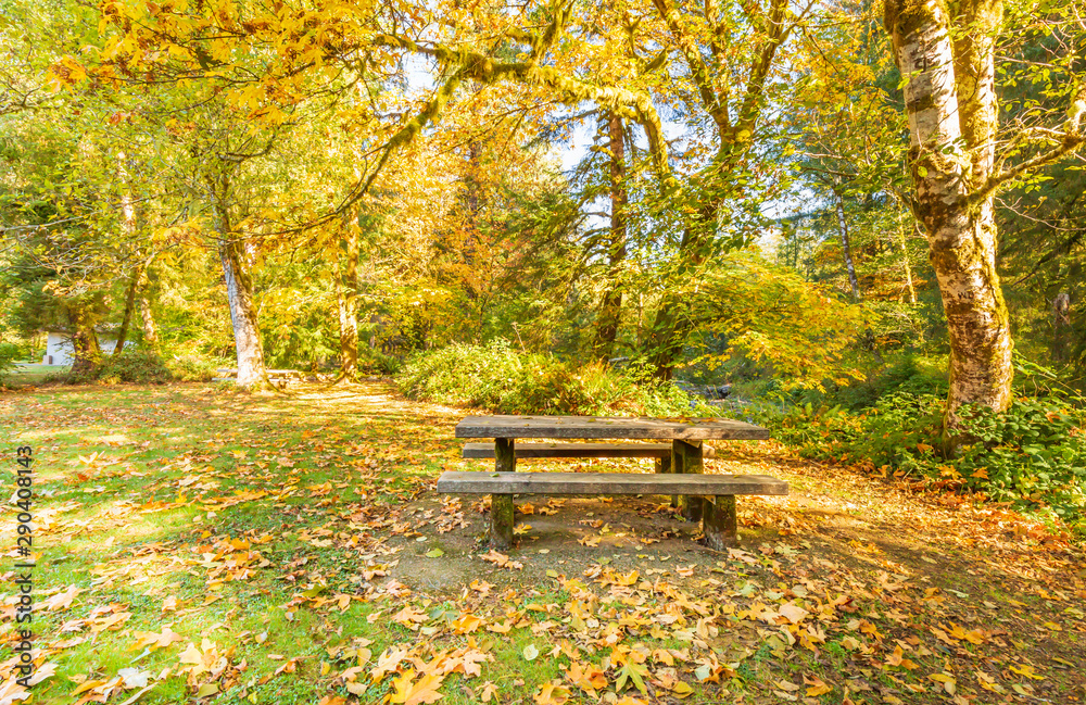 Picnic table in a park in the Autumn Picnic table in a park in the Autumn
