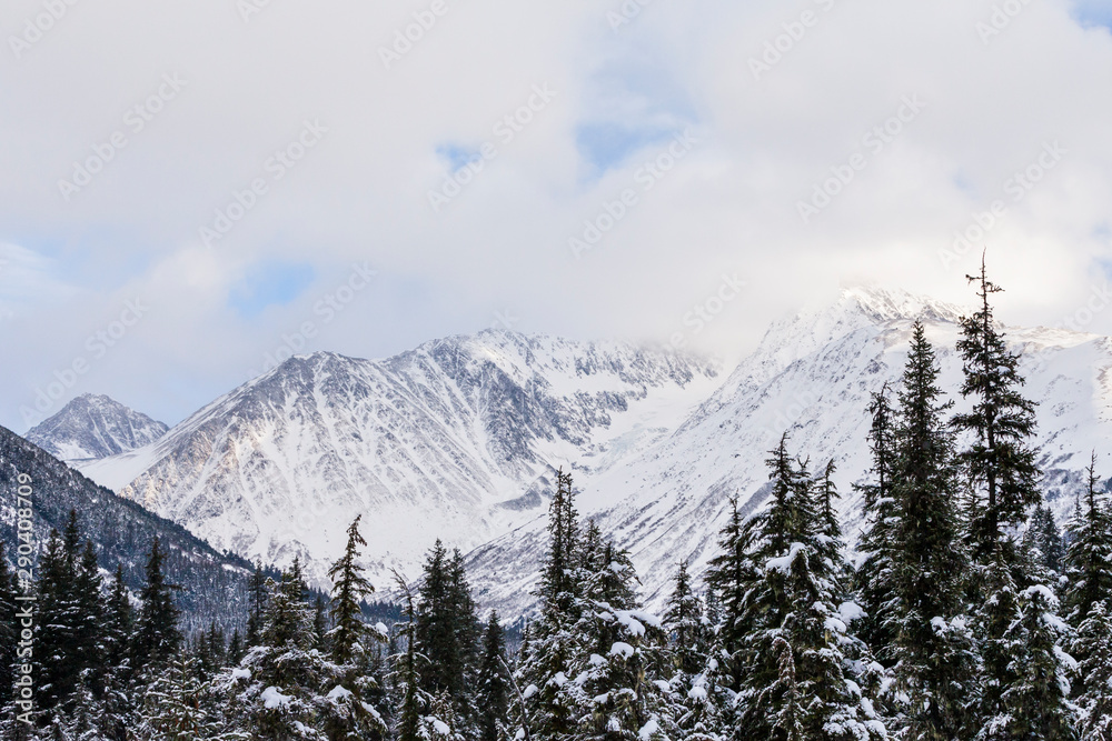 Alaskan winter view. Alaskan winter view.
