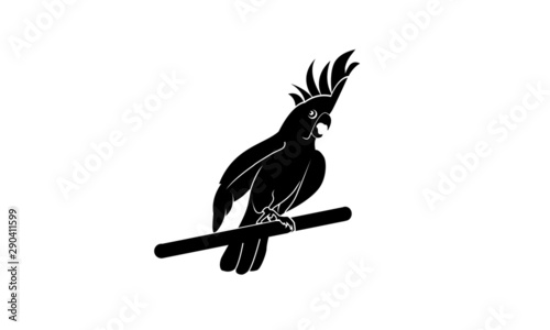 Ara parrot vector. Birds of Amazonian forests in flat design illustration. Fauna of South America. Beautiful colorful Ara parrots for icons, posters, childrens books illustrating. Isolated on white.