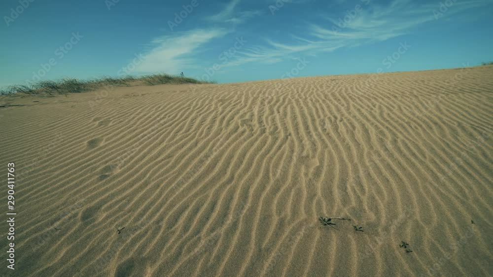 Lines in the dune Lines in the dune