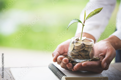 Hand of girl with tree growing from pile of coins . hand holding a young tree growing on coins.Growing business.Businessman holding growth plant with hands.