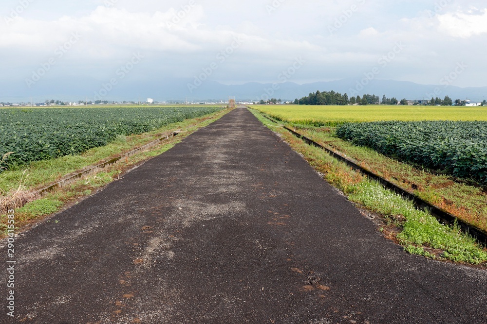 Obraz premium 田舎の風景