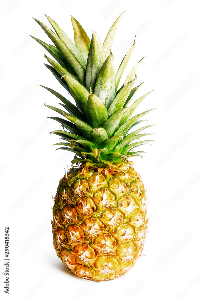 pineapple isolated on white background pineapple isolated on white background