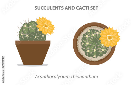 Acanthocalycium Thionanthum Succulent and Cacti Set Vector Illustration photo