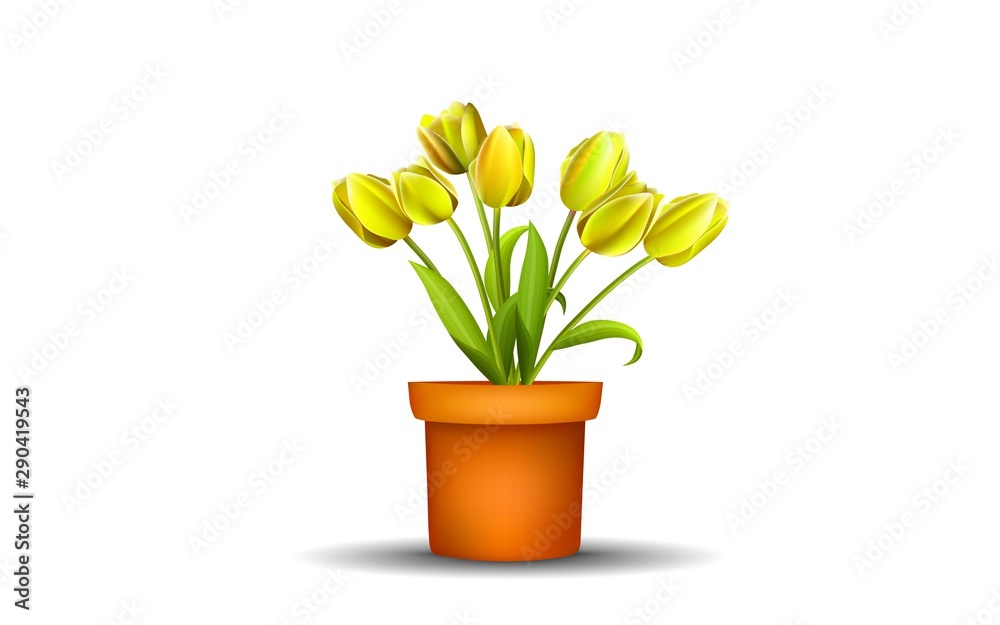 yellow  tulip in vase on the wooden table