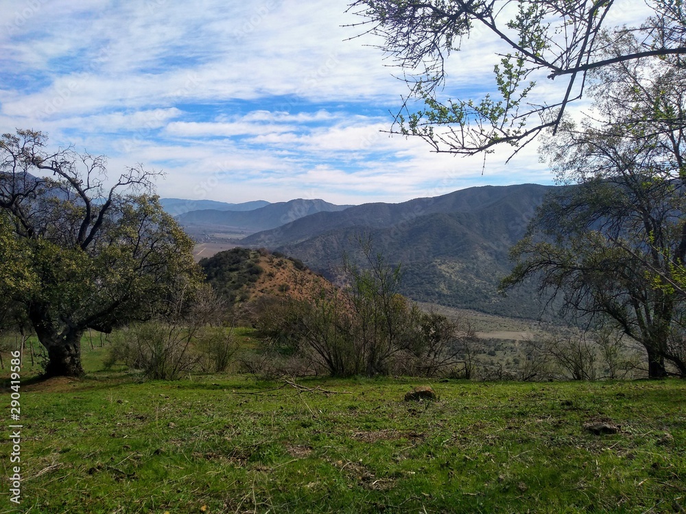 landscape with trees and blue sky landscape with trees and blue sky