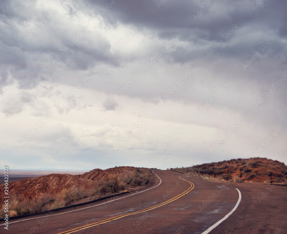 custom made wallpaper toronto digitalRoad in Petrified Forest National Park, Arizona, USA