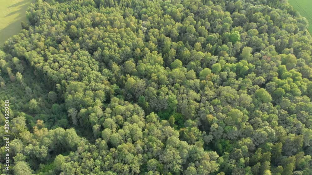 Fly over vast forestry and empty fields. Fly over vast forestry and empty fields.