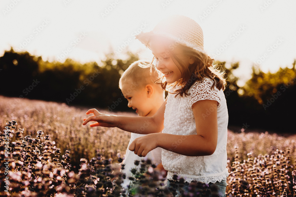 Lovely little girl laughing while running in a field of flowers with her brother. Small kid playing with his sister outdoor against sunset. - obrazy, fototapety, plakaty 